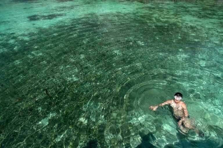 reference pool consolidation ledger