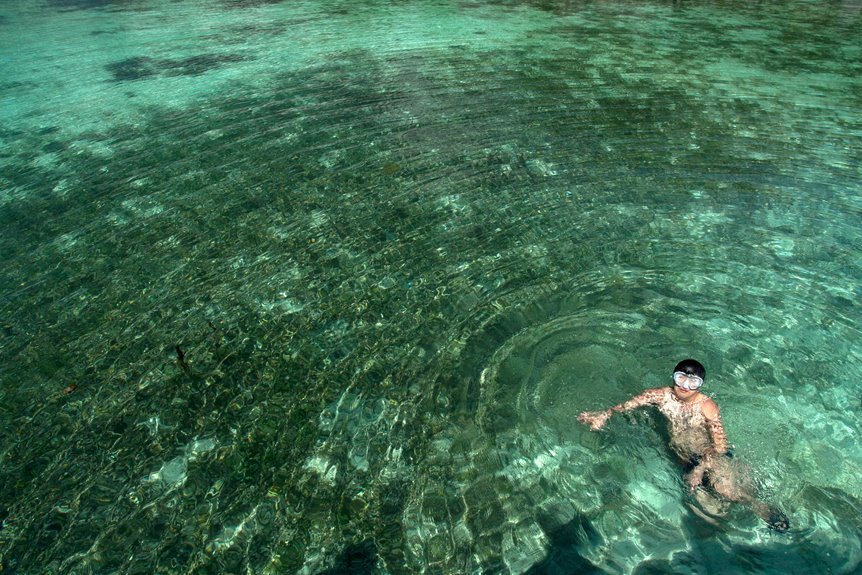 reference pool consolidation ledger